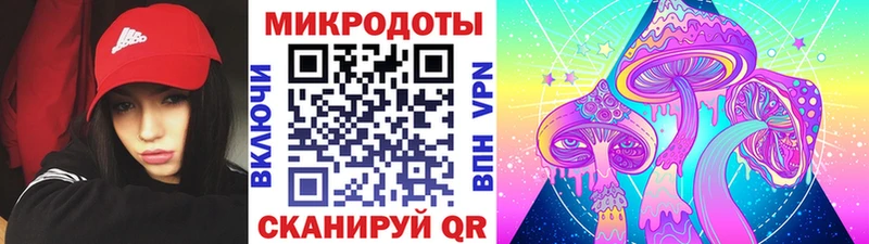 Псилоцибиновые грибы Magic Shrooms  Купить закладки  Копейск 