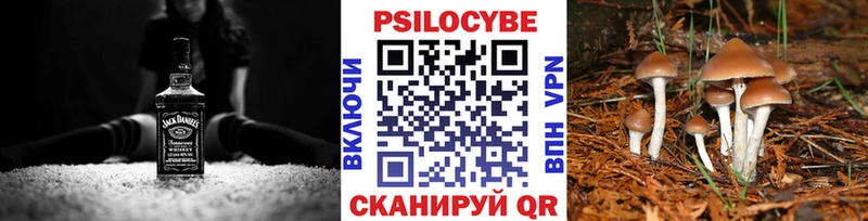 Псилоцибиновые грибы Cubensis Копейск